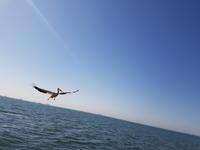 Tage Rundreise Namibia – Die Erlebnistour mit  Kalahari – Fish River-Canyon – Lüderitz – Namib – Swakopmund – Erongo Gebirge – Etosha Nationalpark – Windhoek (833)