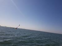 Tage Rundreise Namibia – Die Erlebnistour mit  Kalahari – Fish River-Canyon – Lüderitz – Namib – Swakopmund – Erongo Gebirge – Etosha Nationalpark – Windhoek (834)