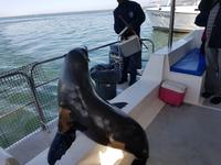 Tage Rundreise Namibia – Die Erlebnistour mit  Kalahari – Fish River-Canyon – Lüderitz – Namib – Swakopmund – Erongo Gebirge – Etosha Nationalpark – Windhoek (900)