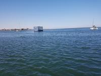 Tage Rundreise Namibia – Die Erlebnistour mit  Kalahari – Fish River-Canyon – Lüderitz – Namib – Swakopmund – Erongo Gebirge – Etosha Nationalpark – Windhoek (901)