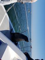 Tage Rundreise Namibia – Die Erlebnistour mit  Kalahari – Fish River-Canyon – Lüderitz – Namib – Swakopmund – Erongo Gebirge – Etosha Nationalpark – Windhoek (903)