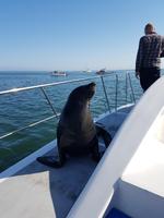 Tage Rundreise Namibia – Die Erlebnistour mit  Kalahari – Fish River-Canyon – Lüderitz – Namib – Swakopmund – Erongo Gebirge – Etosha Nationalpark – Windhoek (905)