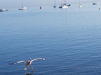 Tage Rundreise Namibia – Die Erlebnistour mit  Kalahari – Fish River-Canyon – Lüderitz – Namib – Swakopmund – Erongo Gebirge – Etosha Nationalpark – Windhoek (906)