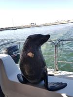 Tage Rundreise Namibia – Die Erlebnistour mit  Kalahari – Fish River-Canyon – Lüderitz – Namib – Swakopmund – Erongo Gebirge – Etosha Nationalpark – Windhoek (911)