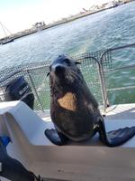 Tage Rundreise Namibia – Die Erlebnistour mit  Kalahari – Fish River-Canyon – Lüderitz – Namib – Swakopmund – Erongo Gebirge – Etosha Nationalpark – Windhoek (912)