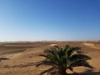 Tage Rundreise Namibia – Die Erlebnistour mit  Kalahari – Fish River-Canyon – Lüderitz – Namib – Swakopmund – Erongo Gebirge – Etosha Nationalpark – Windhoek (916)