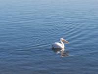 Tage Rundreise Namibia – Die Erlebnistour mit  Kalahari – Fish River-Canyon – Lüderitz – Namib – Swakopmund – Erongo Gebirge – Etosha Nationalpark – Windhoek (920)