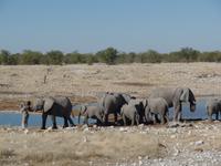Tage Rundreise Namibia – Die Erlebnistour mit  Kalahari – Fish River-Canyon – Lüderitz – Namib – Swakopmund – Erongo Gebirge – Etosha Nationalpark – Windhoek (1044)