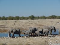 Tage Rundreise Namibia – Die Erlebnistour mit  Kalahari – Fish River-Canyon – Lüderitz – Namib – Swakopmund – Erongo Gebirge – Etosha Nationalpark – Windhoek (1045)