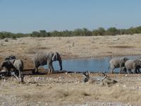 Tage Rundreise Namibia – Die Erlebnistour mit  Kalahari – Fish River-Canyon – Lüderitz – Namib – Swakopmund – Erongo Gebirge – Etosha Nationalpark – Windhoek (1046)