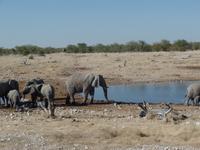 Tage Rundreise Namibia – Die Erlebnistour mit  Kalahari – Fish River-Canyon – Lüderitz – Namib – Swakopmund – Erongo Gebirge – Etosha Nationalpark – Windhoek (1047)