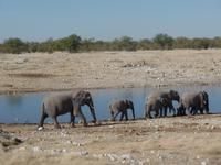 Tage Rundreise Namibia – Die Erlebnistour mit  Kalahari – Fish River-Canyon – Lüderitz – Namib – Swakopmund – Erongo Gebirge – Etosha Nationalpark – Windhoek (1048)