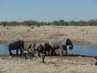 Tage Rundreise Namibia – Die Erlebnistour mit  Kalahari – Fish River-Canyon – Lüderitz – Namib – Swakopmund – Erongo Gebirge – Etosha Nationalpark – Windhoek (1049)