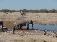 Tage Rundreise Namibia – Die Erlebnistour mit  Kalahari – Fish River-Canyon – Lüderitz – Namib – Swakopmund – Erongo Gebirge – Etosha Nationalpark – Windhoek (1050)