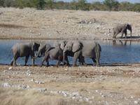 Tage Rundreise Namibia – Die Erlebnistour mit  Kalahari – Fish River-Canyon – Lüderitz – Namib – Swakopmund – Erongo Gebirge – Etosha Nationalpark – Windhoek (1054)