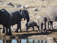 Tage Rundreise Namibia – Die Erlebnistour mit  Kalahari – Fish River-Canyon – Lüderitz – Namib – Swakopmund – Erongo Gebirge – Etosha Nationalpark – Windhoek (1055)