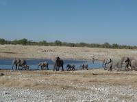 Tage Rundreise Namibia – Die Erlebnistour mit  Kalahari – Fish River-Canyon – Lüderitz – Namib – Swakopmund – Erongo Gebirge – Etosha Nationalpark – Windhoek (1063)