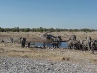 Tage Rundreise Namibia – Die Erlebnistour mit  Kalahari – Fish River-Canyon – Lüderitz – Namib – Swakopmund – Erongo Gebirge – Etosha Nationalpark – Windhoek (1064)