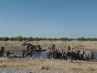 Tage Rundreise Namibia – Die Erlebnistour mit  Kalahari – Fish River-Canyon – Lüderitz – Namib – Swakopmund – Erongo Gebirge – Etosha Nationalpark – Windhoek (1065)