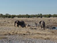 Tage Rundreise Namibia – Die Erlebnistour mit  Kalahari – Fish River-Canyon – Lüderitz – Namib – Swakopmund – Erongo Gebirge – Etosha Nationalpark – Windhoek (1066)