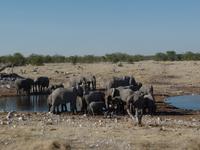 Tage Rundreise Namibia – Die Erlebnistour mit  Kalahari – Fish River-Canyon – Lüderitz – Namib – Swakopmund – Erongo Gebirge – Etosha Nationalpark – Windhoek (1067)