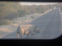 Tage Rundreise Namibia – Die Erlebnistour mit  Kalahari – Fish River-Canyon – Lüderitz – Namib – Swakopmund – Erongo Gebirge – Etosha Nationalpark – Windhoek (1087)