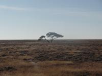 Tage Rundreise Namibia – Die Erlebnistour mit  Kalahari – Fish River-Canyon – Lüderitz – Namib – Swakopmund – Erongo Gebirge – Etosha Nationalpark – Windhoek (1089)