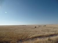 Tage Rundreise Namibia – Die Erlebnistour mit  Kalahari – Fish River-Canyon – Lüderitz – Namib – Swakopmund – Erongo Gebirge – Etosha Nationalpark – Windhoek (1094)