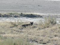 Tage Rundreise Namibia – Die Erlebnistour mit  Kalahari – Fish River-Canyon – Lüderitz – Namib – Swakopmund – Erongo Gebirge – Etosha Nationalpark – Windhoek (1101)