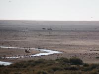 Tage Rundreise Namibia – Die Erlebnistour mit  Kalahari – Fish River-Canyon – Lüderitz – Namib – Swakopmund – Erongo Gebirge – Etosha Nationalpark – Windhoek (1110)