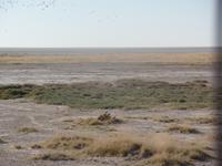 Tage Rundreise Namibia – Die Erlebnistour mit  Kalahari – Fish River-Canyon – Lüderitz – Namib – Swakopmund – Erongo Gebirge – Etosha Nationalpark – Windhoek (1111)