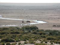 Tage Rundreise Namibia – Die Erlebnistour mit  Kalahari – Fish River-Canyon – Lüderitz – Namib – Swakopmund – Erongo Gebirge – Etosha Nationalpark – Windhoek (1146)