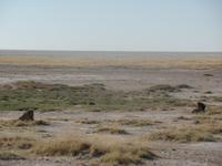 Tage Rundreise Namibia – Die Erlebnistour mit  Kalahari – Fish River-Canyon – Lüderitz – Namib – Swakopmund – Erongo Gebirge – Etosha Nationalpark – Windhoek (1149)