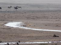 Tage Rundreise Namibia – Die Erlebnistour mit  Kalahari – Fish River-Canyon – Lüderitz – Namib – Swakopmund – Erongo Gebirge – Etosha Nationalpark – Windhoek (1172)