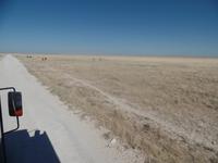 Tage Rundreise Namibia – Die Erlebnistour mit  Kalahari – Fish River-Canyon – Lüderitz – Namib – Swakopmund – Erongo Gebirge – Etosha Nationalpark – Windhoek (1223)