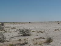 Tage Rundreise Namibia – Die Erlebnistour mit  Kalahari – Fish River-Canyon – Lüderitz – Namib – Swakopmund – Erongo Gebirge – Etosha Nationalpark – Windhoek (1241)