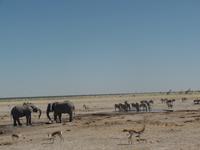Tage Rundreise Namibia – Die Erlebnistour mit  Kalahari – Fish River-Canyon – Lüderitz – Namib – Swakopmund – Erongo Gebirge – Etosha Nationalpark – Windhoek (1245)