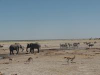 Tage Rundreise Namibia – Die Erlebnistour mit  Kalahari – Fish River-Canyon – Lüderitz – Namib – Swakopmund – Erongo Gebirge – Etosha Nationalpark – Windhoek (1246)