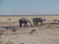 Tage Rundreise Namibia – Die Erlebnistour mit  Kalahari – Fish River-Canyon – Lüderitz – Namib – Swakopmund – Erongo Gebirge – Etosha Nationalpark – Windhoek (1250)