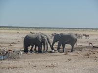 Tage Rundreise Namibia – Die Erlebnistour mit  Kalahari – Fish River-Canyon – Lüderitz – Namib – Swakopmund – Erongo Gebirge – Etosha Nationalpark – Windhoek (1260)