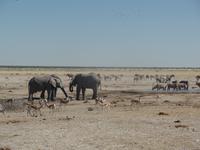 Tage Rundreise Namibia – Die Erlebnistour mit  Kalahari – Fish River-Canyon – Lüderitz – Namib – Swakopmund – Erongo Gebirge – Etosha Nationalpark – Windhoek (1269)