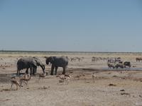 Tage Rundreise Namibia – Die Erlebnistour mit  Kalahari – Fish River-Canyon – Lüderitz – Namib – Swakopmund – Erongo Gebirge – Etosha Nationalpark – Windhoek (1270)