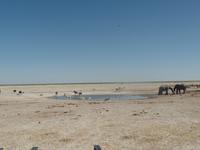 Tage Rundreise Namibia – Die Erlebnistour mit  Kalahari – Fish River-Canyon – Lüderitz – Namib – Swakopmund – Erongo Gebirge – Etosha Nationalpark – Windhoek (1278)