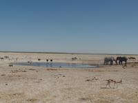 Tage Rundreise Namibia – Die Erlebnistour mit  Kalahari – Fish River-Canyon – Lüderitz – Namib – Swakopmund – Erongo Gebirge – Etosha Nationalpark – Windhoek (1294)