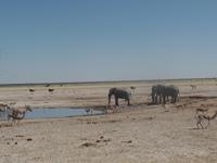 Tage Rundreise Namibia – Die Erlebnistour mit  Kalahari – Fish River-Canyon – Lüderitz – Namib – Swakopmund – Erongo Gebirge – Etosha Nationalpark – Windhoek (1300)