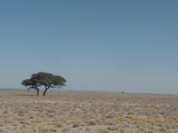 Tage Rundreise Namibia – Die Erlebnistour mit  Kalahari – Fish River-Canyon – Lüderitz – Namib – Swakopmund – Erongo Gebirge – Etosha Nationalpark – Windhoek (1301)