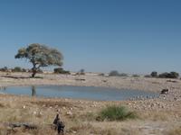 Tage Rundreise Namibia – Die Erlebnistour mit  Kalahari – Fish River-Canyon – Lüderitz – Namib – Swakopmund – Erongo Gebirge – Etosha Nationalpark – Windhoek (1304)