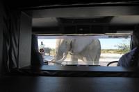 Tage Rundreise Namibia – Die Erlebnistour mit  Kalahari – Fish River-Canyon – Lüderitz – Namib – Swakopmund – Erongo Gebirge – Etosha Nationalpark – Windhoek (1312)