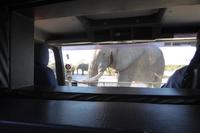 Tage Rundreise Namibia – Die Erlebnistour mit  Kalahari – Fish River-Canyon – Lüderitz – Namib – Swakopmund – Erongo Gebirge – Etosha Nationalpark – Windhoek (1313)