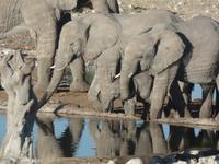 Tage Rundreise Namibia – Die Erlebnistour mit  Kalahari – Fish River-Canyon – Lüderitz – Namib – Swakopmund – Erongo Gebirge – Etosha Nationalpark – Windhoek (1318)